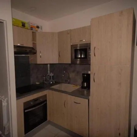 Gourette Pied Des Pistes Daire *